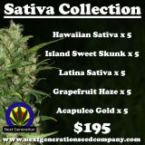 Sativa Collection